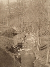 Untitled (Wooded Landscape with Stream)