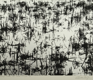 Camargue Secrete / Marais et de Sin