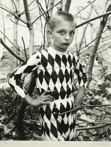 Saltimbanque, The Harlequin