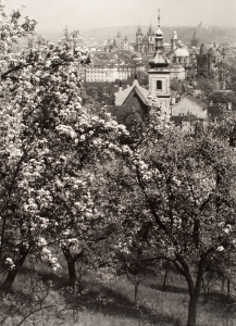 Prague From Petrin