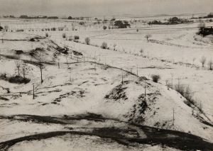 Landscape in Winter