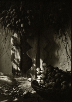 Country Still Life