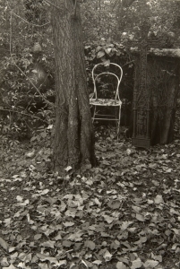 A Walk in the Magic Garden