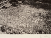 From the Cycle Prague Gardens